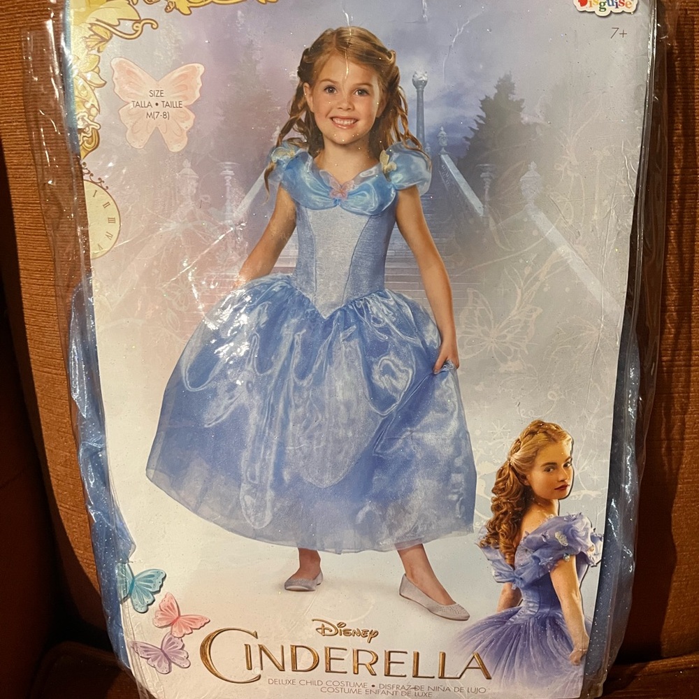 NWT Disney Cinderella Costume